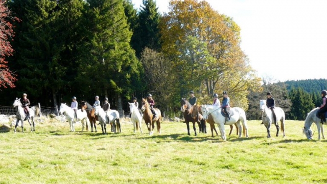  Magnífica decoración 